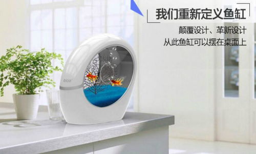 稀品匯 科技與新概念的互聯網營銷先鋒，引領布加桌寶線上銷售新潮流